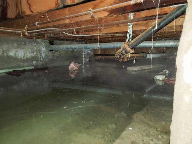 Best Carpet water damage restoration  in Stone Mountain, GA