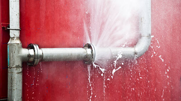 Best Mold removal after water damage  in Stone Mountain, GA